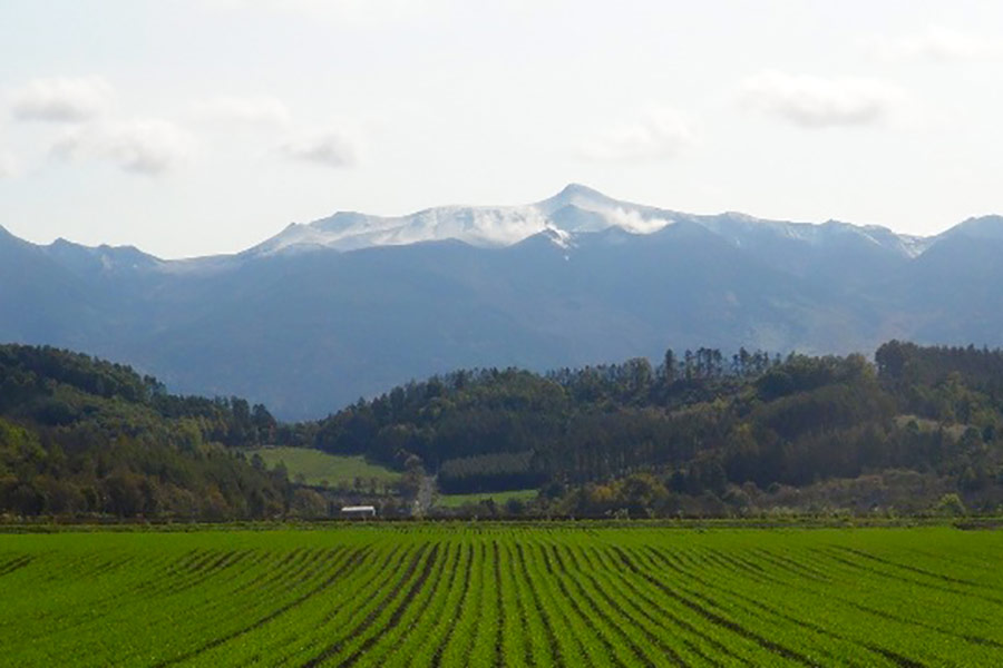 第4回 乙女の輪 大切なことは出発することだった